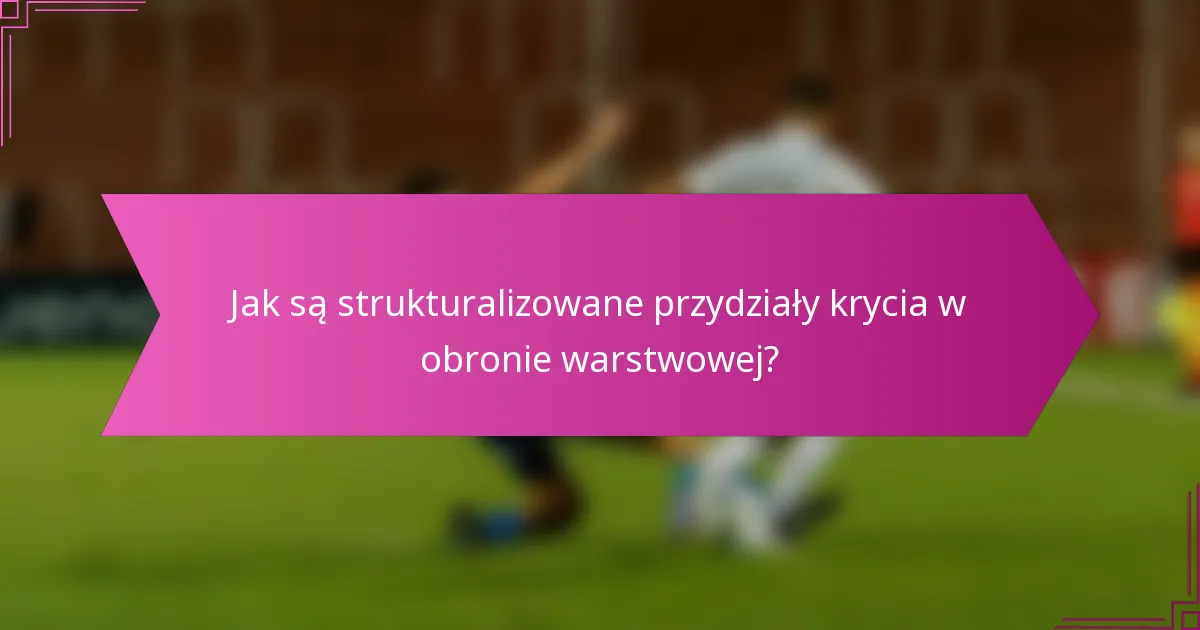 Jak są strukturalizowane przydziały krycia w obronie warstwowej?